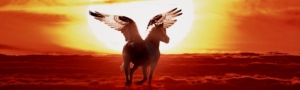 Einhorn mit Flügel - Pegasus